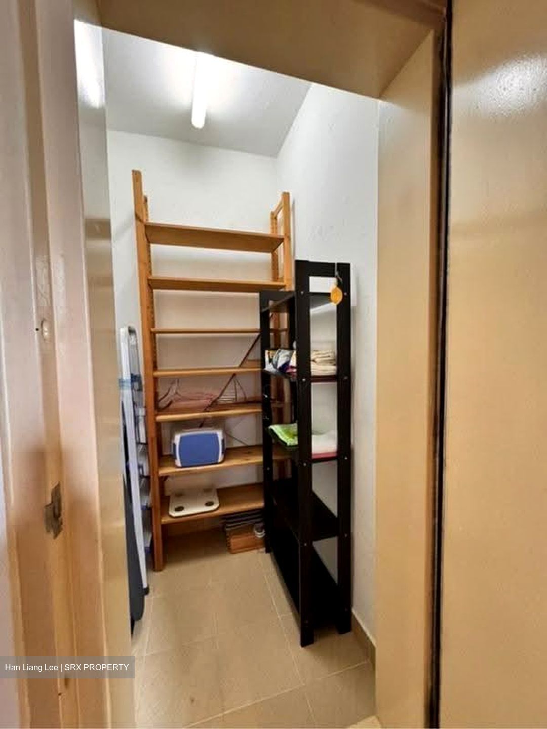 Sunshine Regency (D15), Apartment #609486341